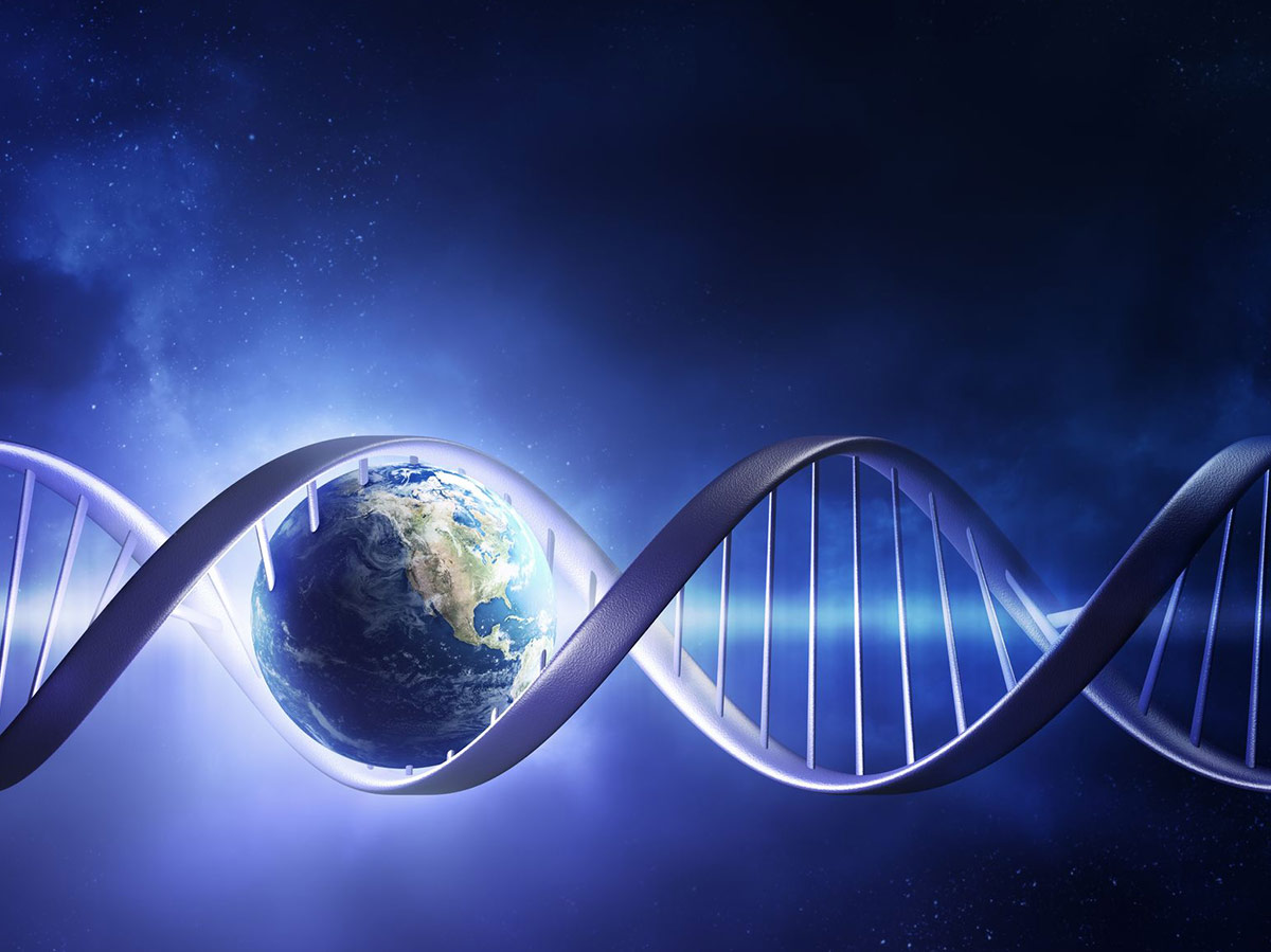 DetectaDye DNA Fuel Marking